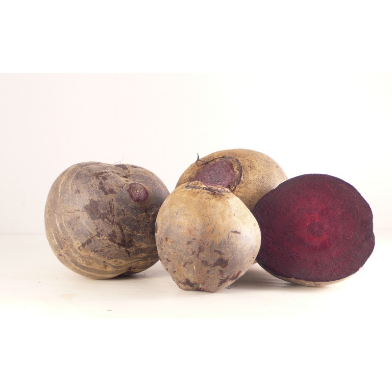 Betteraves rouges botte EKI