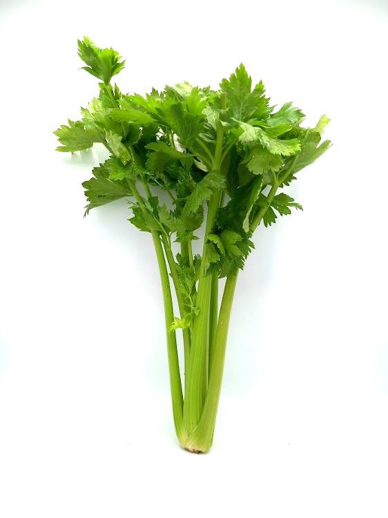 Céleri vert branche GRO