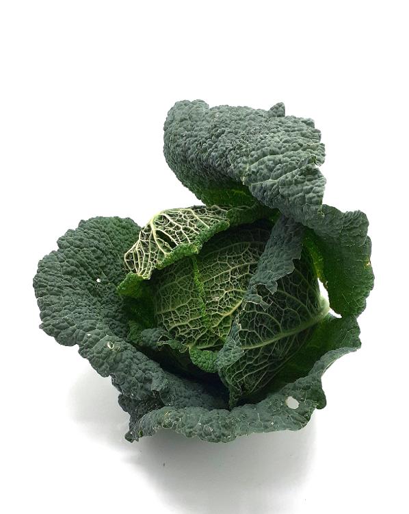 Chou vert de Savoie PPR