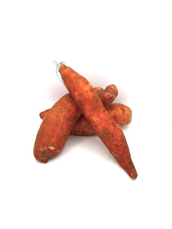 Patates douces baby GRO