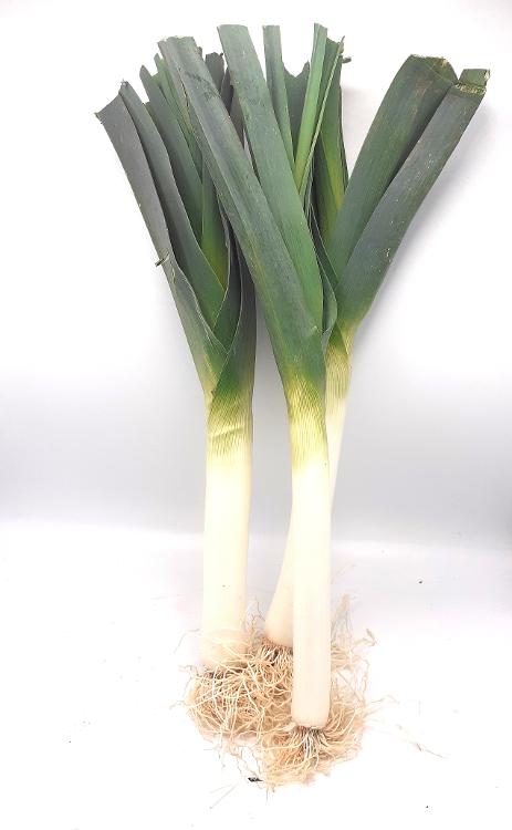 Poireaux GRO