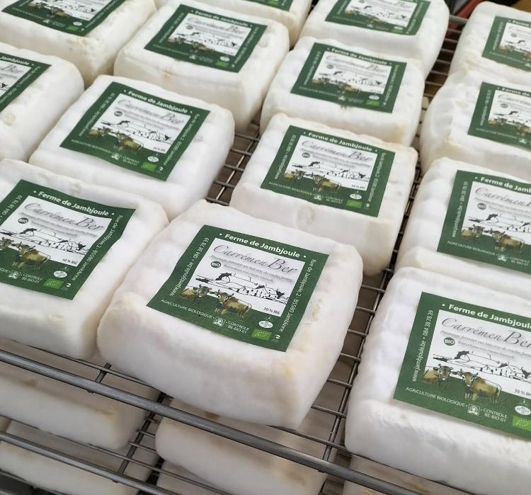 Carrémenbert - vache PPR