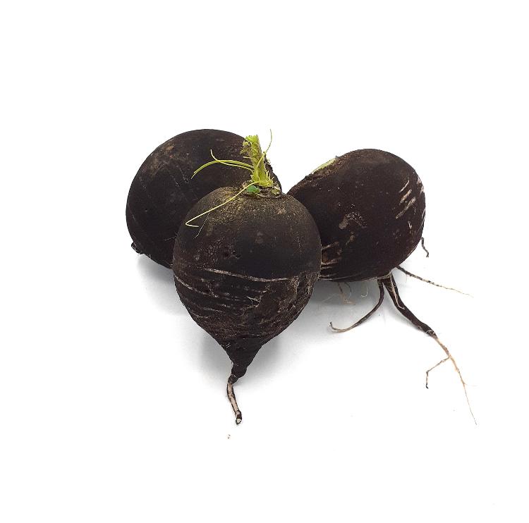 Radis rouges EKI (copie)