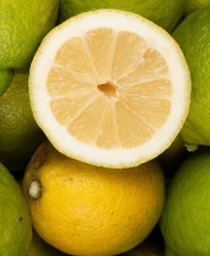 Citrons GRO (copie)