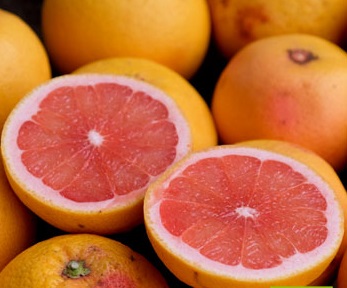 Pamplemousses (pomelo) GRO (copie)