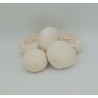 Champignons blancs GRO