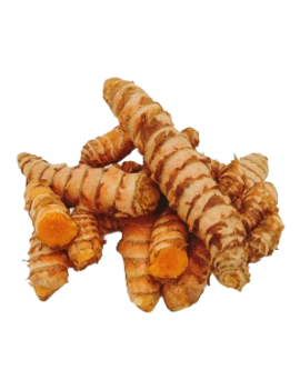 Curcuma GRO