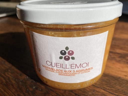 Confiture 3 agrumes PPR