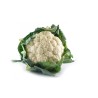 Chou-fleur GRO
